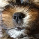 Knoepfle - @knopfedopf - Instagram