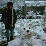Ed Knowles - @ed.bowels - Instagram