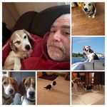 Ed Knowles - @eknowles4 - Instagram