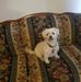 Ed Krause - Facebook