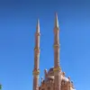 shahhied - @shahiedkrieger - TikTok