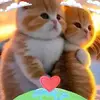 shahiedkrieger618 - @shahiedkrieger7 - TikTok
