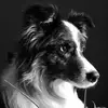edithkuiper1966 - @edithkuiper1966 - TikTok