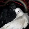 edkuee - @edkushd.mmnai - TikTok