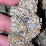 Edy Morty Kush - Facebook