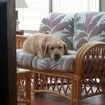 Ed Kwiatkowski - @kwiatkowskied - Instagram