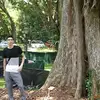Ed Kwok - @edkwok - TikTok