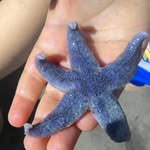 Lacroix - @edlacroix - Instagram