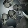 nenucoyed27 - @edlacroix961 - TikTok