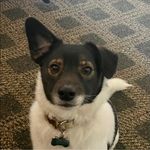 Ed Lafferty - @ed08051 - Instagram