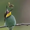 edlam - @edlam254 - TikTok