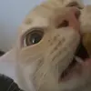 Edlamp12 - @edlamp - TikTok