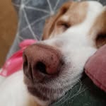 Ed Langlois - @langlois6154 - Instagram