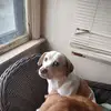 ED Langlois - @ed.langlois - TikTok