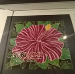 Ed Lash - Facebook