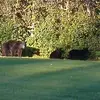 Ed Leavitt - @ed.leavitt - TikTok