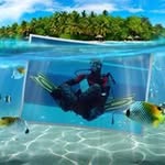 Edward Lechner - @edwardlechner - Instagram