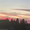 You popped - @edward.lechner - TikTok
