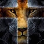 Ed Lerma - @edlerma9 - Instagram