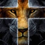 Ed Lerma - Facebook