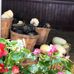 Ed Lester Produce - Facebook