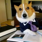 Ed Levine - @ed_levane - Instagram