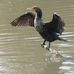Ed Levine County Park - Facebook