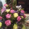 ermosa - @edelevine - TikTok