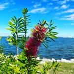 Ed Lewin - @edlewin_321 - Instagram
