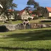 Ed Lewin - @ed_lewin - TikTok