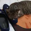 ChinMae - @edlien - TikTok