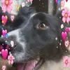 eddielinehan - @eddielinehan - TikTok