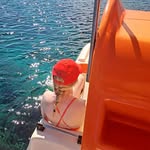 Edel Linehan - @edellinehann - Instagram