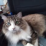 Edward Linehan - @edwardlinehan9548 - Instagram