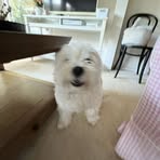 Edward Linehan - Facebook