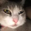 Edward L. Littlefield III - @edplays907 - TikTok