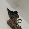 logueed - @logueed - TikTok