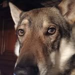 ed loki - @ed_loki_ - Instagram