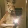 Eddie - @edlok5 - TikTok