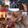 Edward Loomis - @edwardloomis548 - TikTok