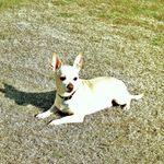 EDLOONEY - @edlooney1 - Instagram
