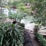 Edloy Dindo - @dindoedloy - Instagram
