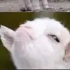 ed - @edluna98 - TikTok