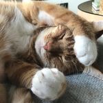Roesty Edlund - @roesty.edlund - Instagram