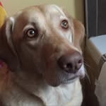 Ed MacNeil - @edmacneil71 - Instagram