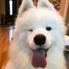 edmadden7 - @edmadden7 - TikTok