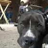 Ed Madison - @ed.madison - TikTok