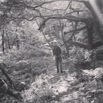 Ed main - @ed_main_ - Instagram