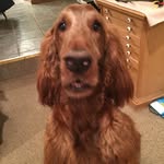 Ed Maloney - @edwmaloney - Instagram