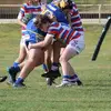 Ed_maloney - @ed_maloney - TikTok